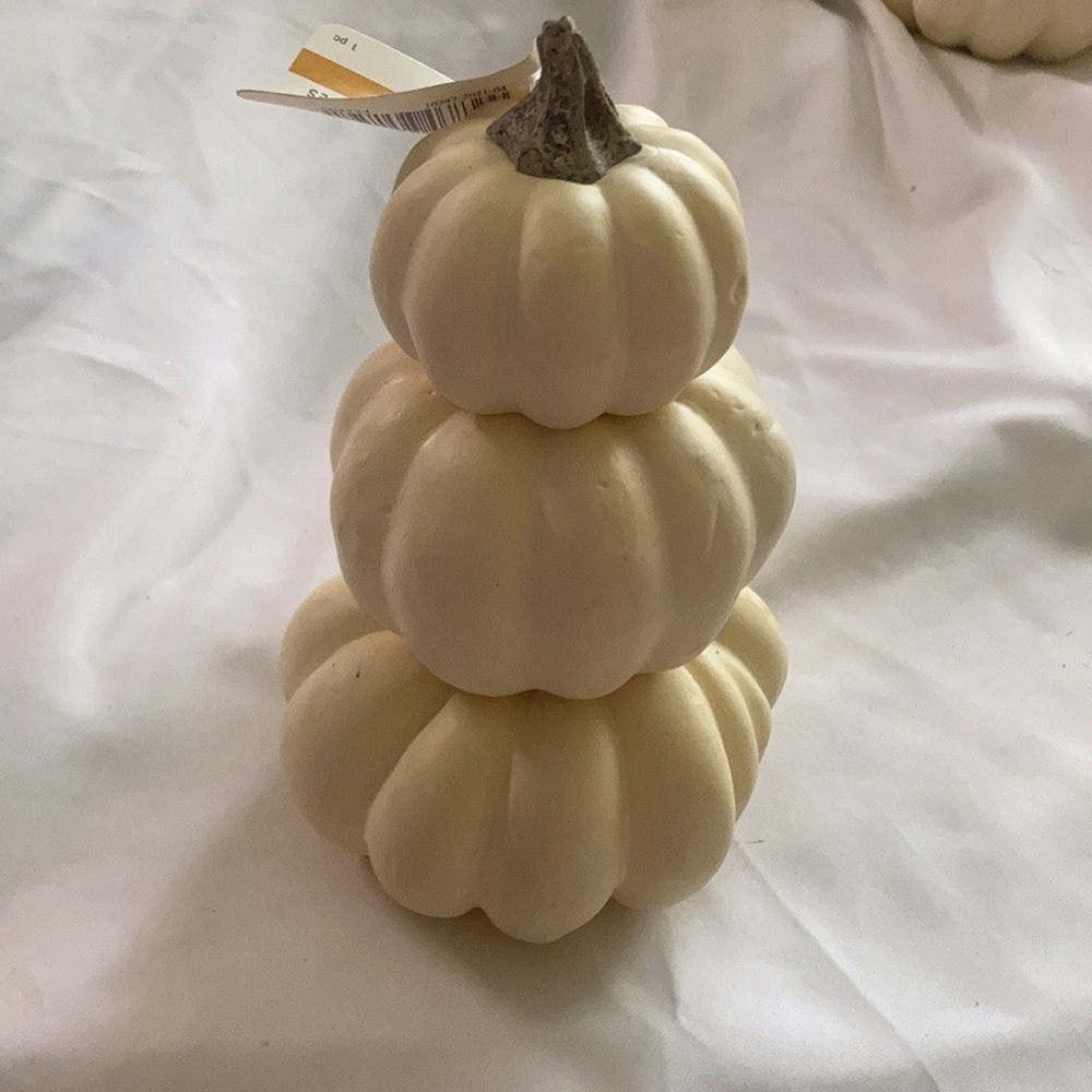 Ashland decor pumpkin fall 1 pc